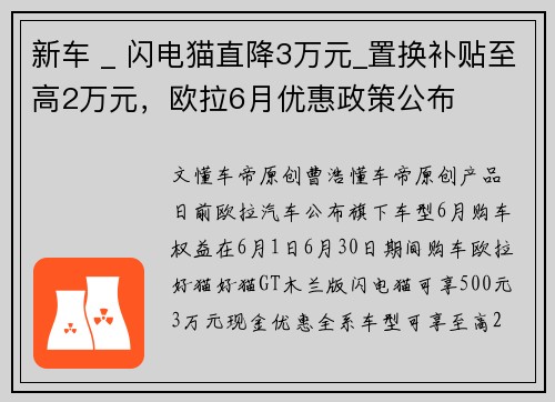 新车 _ 闪电猫直降3万元_置换补贴至高2万元，欧拉6月优惠政策公布